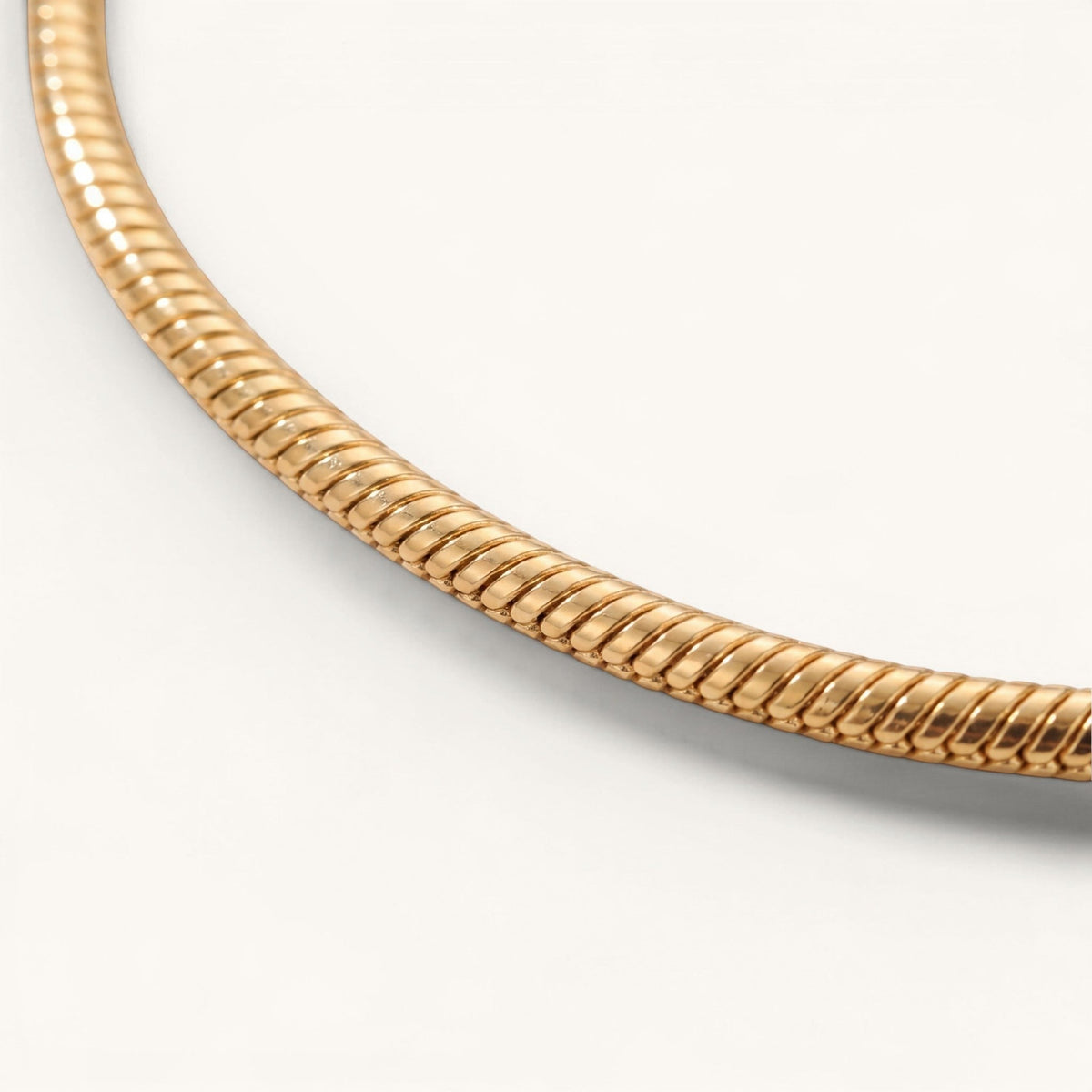 Snake Anklet